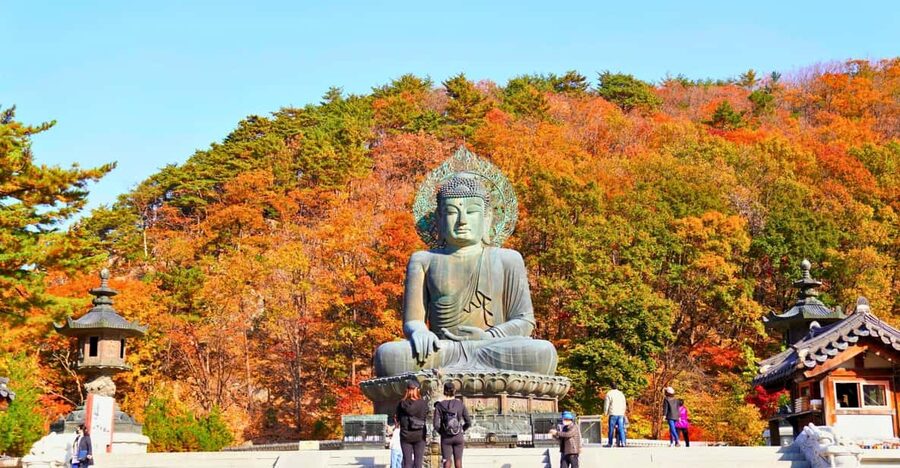 From Seoul: Seoraksan Mountain with Cable Car- Shuttle Bus - Key highlights you will actually feel