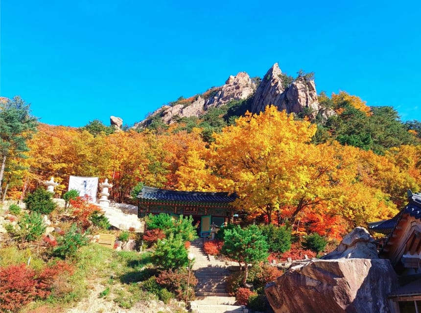 From Seoul: Seoraksan Mountain with Cable Car- Shuttle Bus - Price and value: what $67 includes, and what you need to add yourself