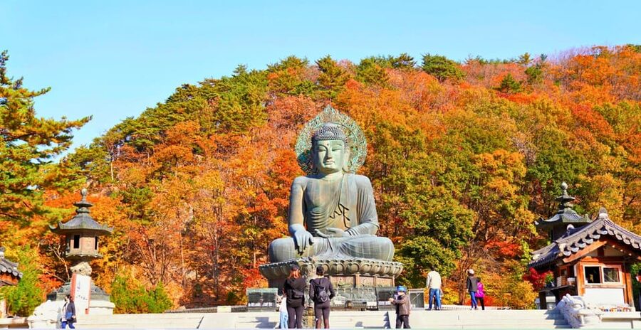 From Seoul: Seoraksan Mountain with Cable Car- Shuttle Bus - Guides and group rhythm: the human part of the experience