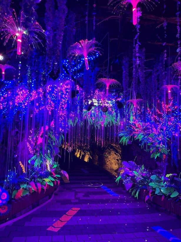 From Seoul: Starfield Library, Hwaseong, Gwangmyeong Cave - Should you book this tour?