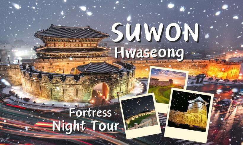 From Seoul: Suwon Hwaseong Fortress Night Tour - Key highlights worth planning around