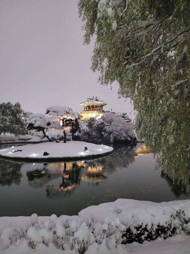 From Seoul: Suwon Hwaseong Fortress Night Tour - Suwon Hwaseong Fortress at night: why the light changes everything