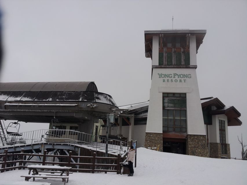 From Seoul: Yongpyong Ski Day Tour with Transportation - Your Three Options: Basic Ski Tour, Full Tour, or Shuttle Only