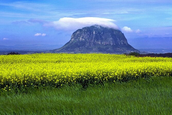 Full Day 12 hours whole Jeju Island private flexible tour - Key highlights to know before you go