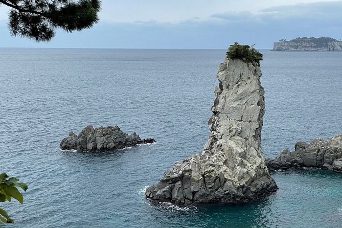 Full Day 12 hours whole Jeju Island private flexible tour - Entrance fees and the $200 question: where the real value shows up