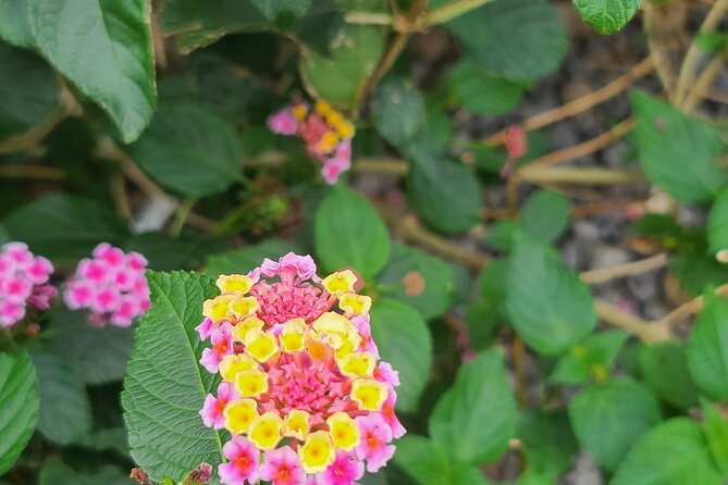 Full Day 12 hours whole Jeju Island private flexible tour - How booking timing, weather, and your pace affect the day