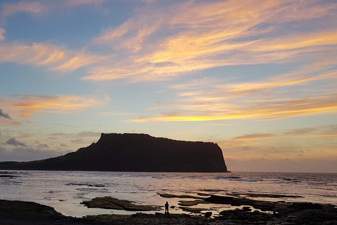 Full Day 12 hours whole Jeju Island private flexible tour - Practical tips so your 12-hour day feels like a win