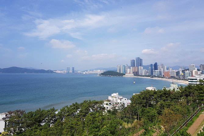 Full Day Busan Tour Including Haedong Yonggungsa Temple - Key Takeaways Before You Go
