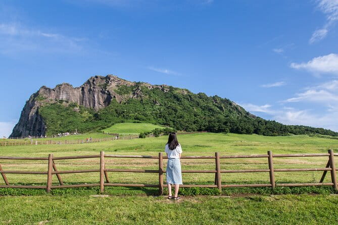 Full-day Customizable Private Jeju Island Tour - Key highlights worth planning for