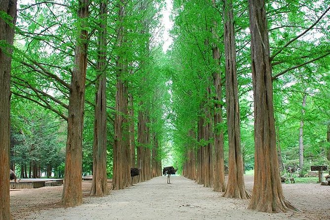 Full-Day Customizable Private Tour to Nami Island and surrounding Area - Soyang River Sky Walk: short, simple, and easy to fit