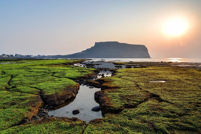 Full Day Essential Jeju Island Private tour for West Course - Price and value: what you’re really paying for