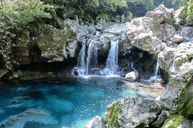 Full Day Essential Jeju Island Private tour for West Course - Getting picked up right: transfers that matter on Jeju
