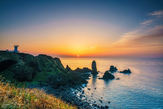 Full-Day Jeju Island UNESCO Tour for Cruise Layover Guests - Hallasan National Park at 1,100 Meters: A Mountain Break Without the Full Trek