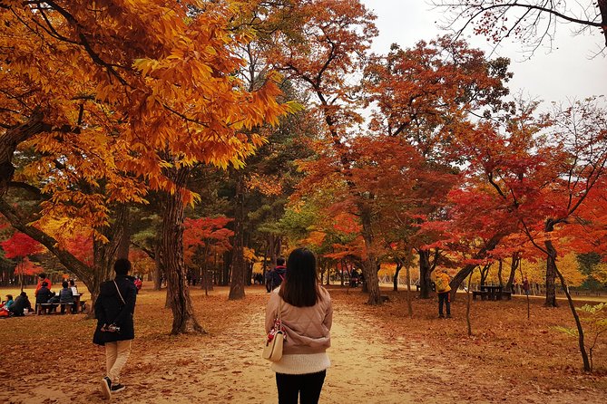 [ Full Day ] Nami Island & Petit France From Seoul - Nami Island: Six Hours To Wander Cherry And Ginkgo Trees