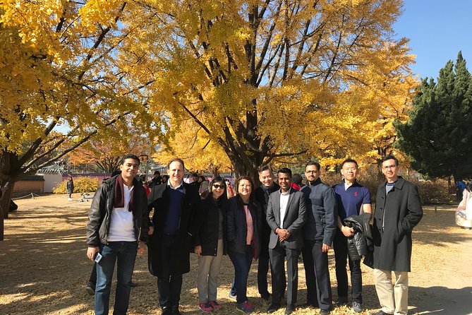 [ Full Day ] Nami Island & Petit France From Seoul - Should You Book Nami Island And Petit France From Seoul?