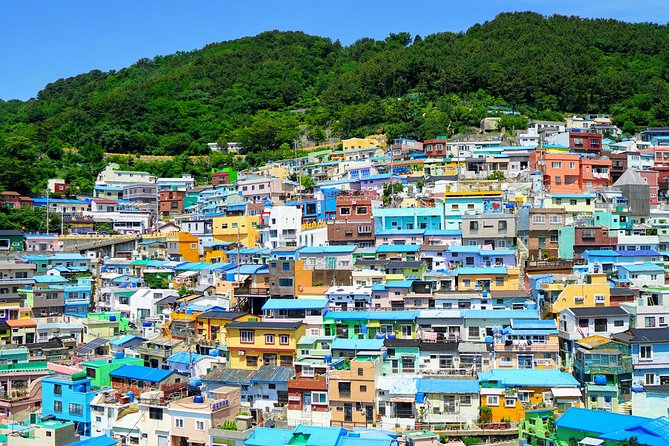 Full Day Private Busan Highlight Tour with Licensed Guide - Taejongdae, a Cliffside Walk With Pine Trees and Wind