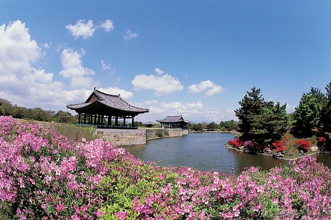 Full day Private Gyeongju UNESCO Heritage Tour : a glimpse into Silla - Daereungwon Tomb Complex and Chemseongdae: royalty plus stargazing