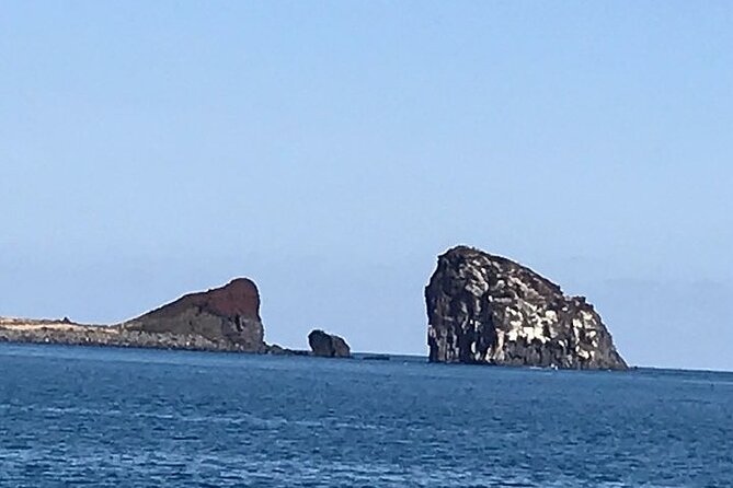Full-Day Private Taxi Tour South of Jeju Island - A Private Taxi Route That Makes South Jeju Feel Close