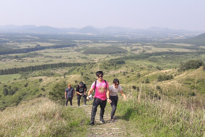 Full-Day Private Taxi Tour South of Jeju Island - Dokkaebi Road: The Gravity Trick Stop