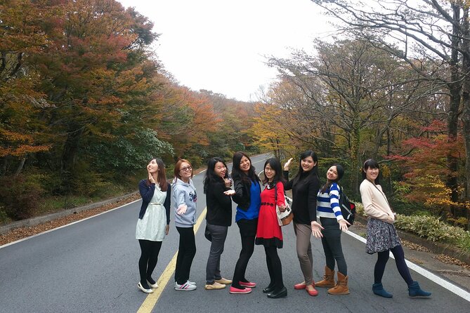 Full-Day Private Taxi Tour South of Jeju Island - Daepo Haean Jusangjeolli Cliff: Columnar Joints by the Sea