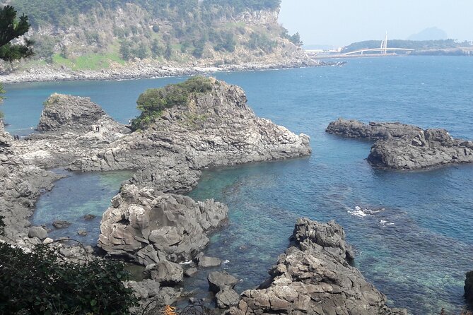 Full-Day Private Taxi Tour South of Jeju Island - Seogwipo Maeil Olle Market: Street Food Without the Planning Tax