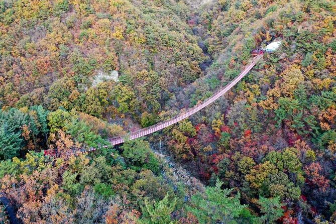 Full Day Private Tour DMZ (The 3rd Tunnel) & Suspension Bridge - Gamaksan Chulleong Suspension Bridge: from conflict ground to mountain views