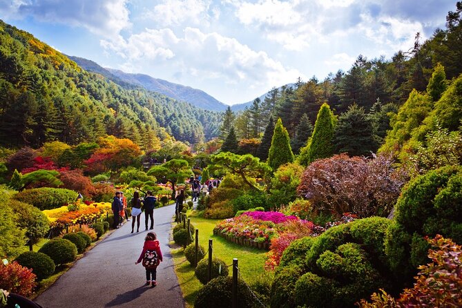Full Day Private Tour Nami Island, Garden & Petite France - Pinocchio and Da Vinci Italian Village: Europe-themed fun with a Korea twist