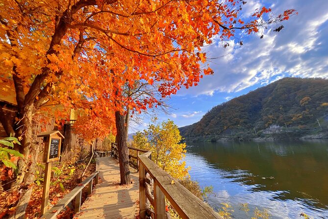 Full Day Private Tour Nami Island, Garden & Petite France - Private transportation and pickup: how to make the day feel easy