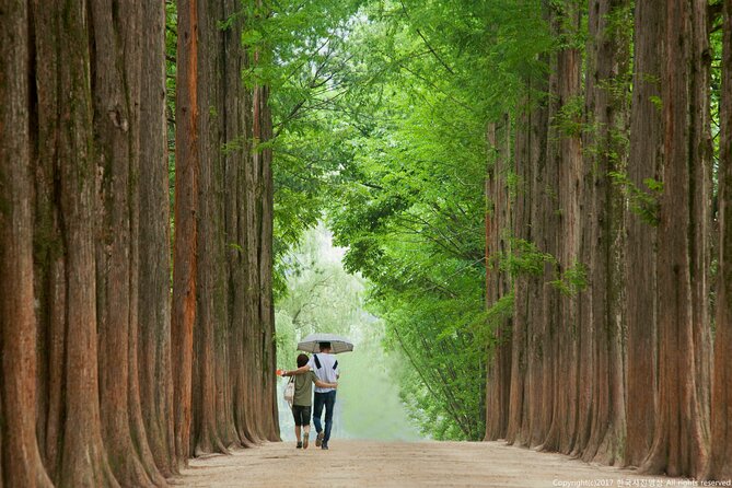 Full Day Private Tour Nami Island, Garden & Petite France - Price and value: what $260 buys you on this kind of day