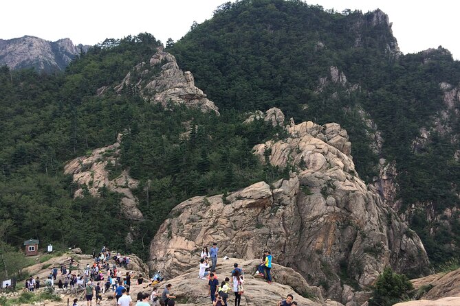 Full-Day Tour in Mt. Seorak & Nami (+Rail Bike Option) - From Seoul to Seoraksan, then straight into Nami Island mode