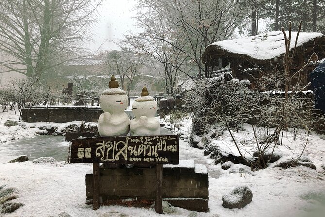 Full-Day Tour in Mt. Seorak & Nami (+Rail Bike Option) - Nami Island: the Winter Sonata walks and the art corners