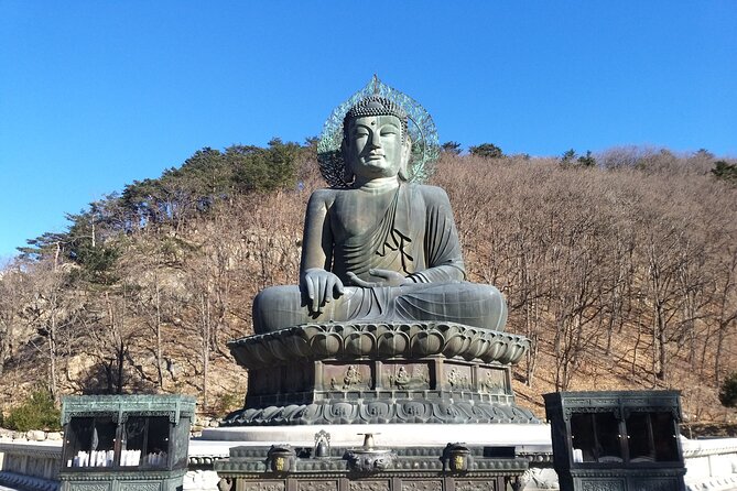 Full-Day Tour in Mt. Seorak & Nami (+Rail Bike Option) - Guides and pacing: why the day can feel smooth or just like transport