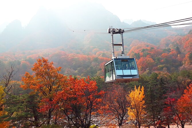 Full-Day Tour in Mt. Seorak & Nami (+Rail Bike Option) - Pick-up points and the rhythm of a 14 to 16 hour day