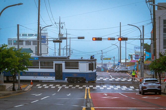 Full-Day Tour Unmissable things to do in Busan - Cheongsapo Port and Daritdol Skywalk: trains, sea, and fast photo time