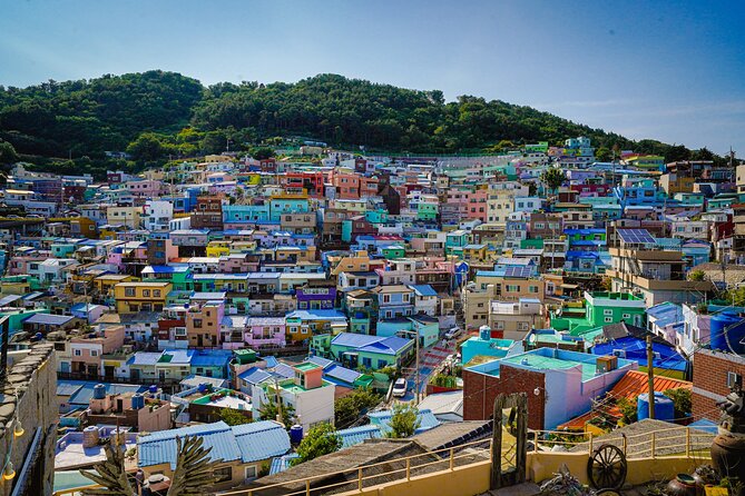 Full-Day Tour Unmissable things to do in Busan - Who should book this Busan highlights tour, and who should not