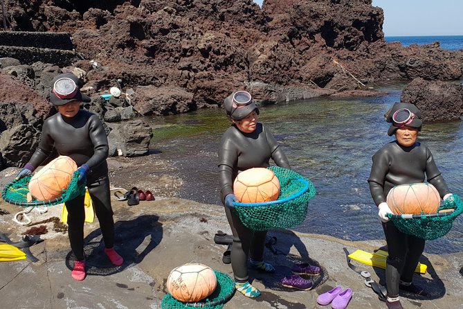 Fully Customizable Private Tour of Jeju Island - Budget and value: what the $400 covers, and what you still need