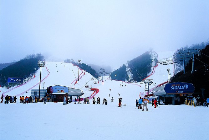 Gangchon Elysian Ski Day Trip from Seoul - Picking the right snow option: ski tour vs ski package vs snow slide