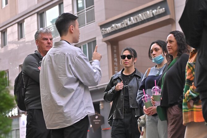 Gangnam Walking Tour on Youth and Society in Seoul Korea - Pace, Subway Use, and Where the Tour Starts