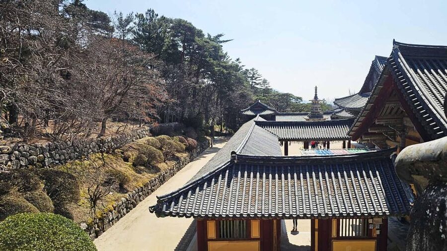 Gyeongju: Private Car Charter Taxi Tour - Donggung and Wolji plus Cheomseongdae: Silla sites that reward timing