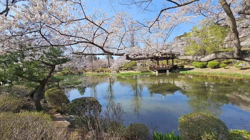 Gyeongju: Private Car Charter Taxi Tour - Night tour (about 3 hours): Eupseong and Anapji lighting