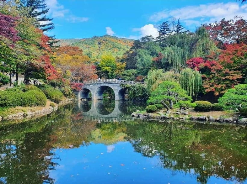 Gyeongju: Private Car Tour with a Licensed Tour Guide - Why Gyeongju is easier with a private car (and a guide who can translate it)