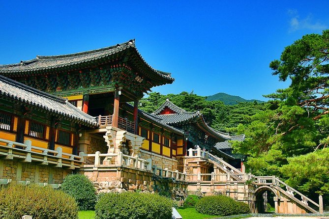 Gyeongju Private Tour with hidden gem by local tour guide - Key highlights worth planning for