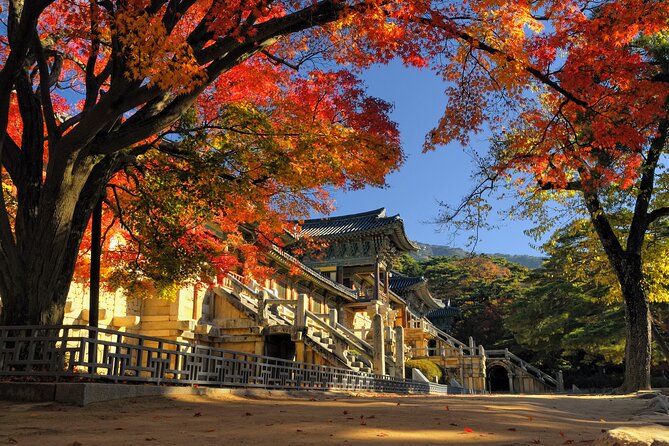 Gyeongju UNESCO sites Private tour with licensed tour guide - Stop 3: Daereungwon Tomb Complex and Cheonmachong
