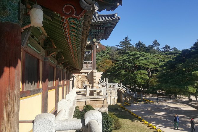 Gyeongju UNESCO Sites Tour by KTX train; The Museum Without walls - Who should book this Gyeongju UNESCO sites tour?