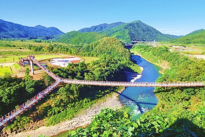 Half-Day DMZ Tour Led by a Retired Military Officer from Seoul - Key things I’d watch for