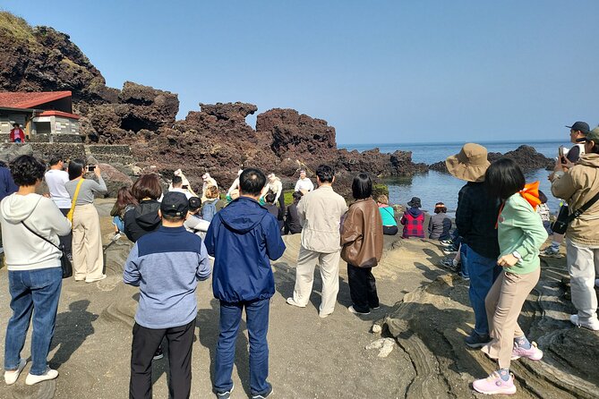 Half or Day Tour For Cruise customers arriving at Gangjeong Port - Seogwipo Maeil Olle Market: snacks and local life in 30 minutes