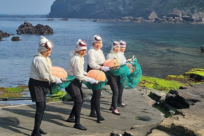 Half or Day Tour For Cruise customers arriving at Gangjeong Port - Seongsan Ilchulbong UNESCO cone and the 2:00 PM haenyeo show