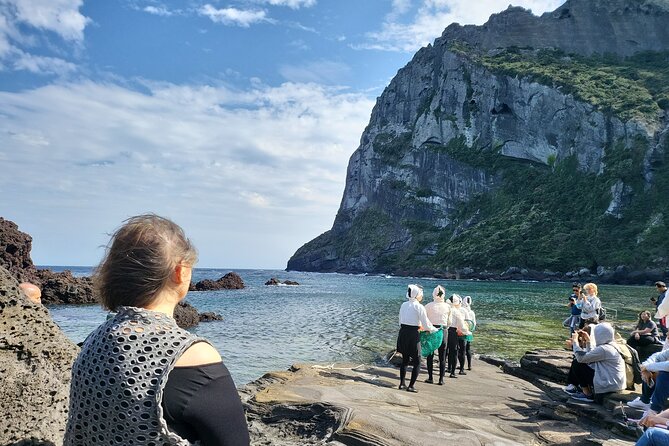 Half or Day Tour For Cruise customers arriving at Jeju City Port - Stop 1: Jeju Horses and a Gentle Rural Welcome