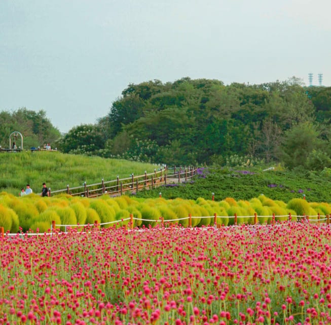 Hantan Canyon & Goseokjeong Flower Garden & Pink Muhly Park - Key things to plan around