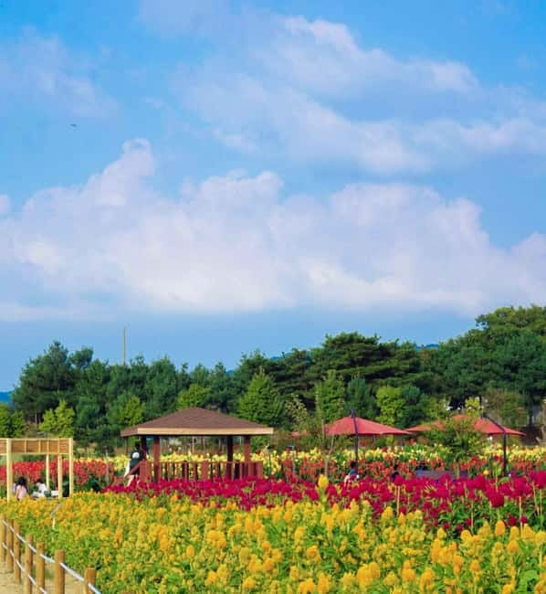 Hantan Canyon & Goseokjeong Flower Garden & Pink Muhly Park - A one-day nature route from Seoul